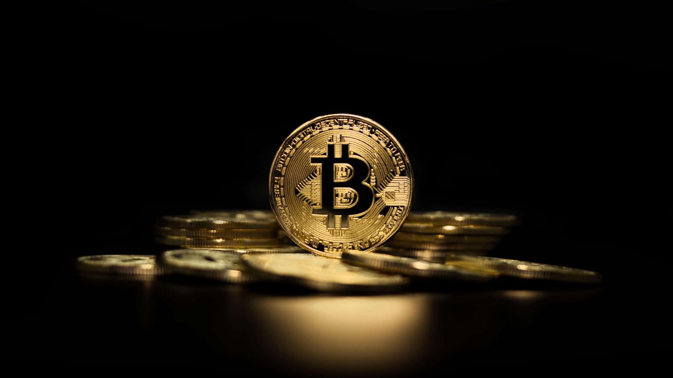 Bitcoin Traders Sell Puts as Long-Term Holders Quietly Stack Over 635K BTC Since January
